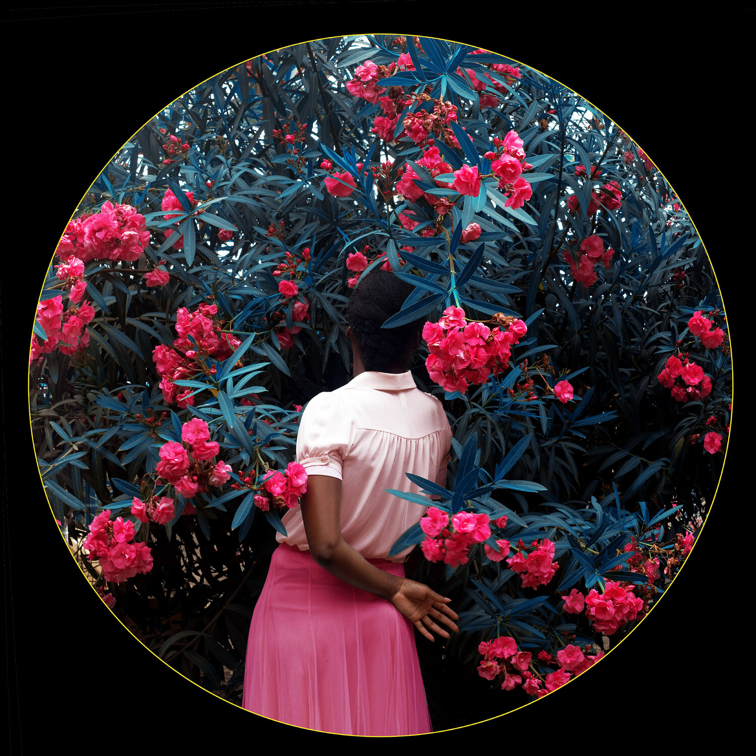 Through the lens of love Fares Micue Fotografie zu verkaufen