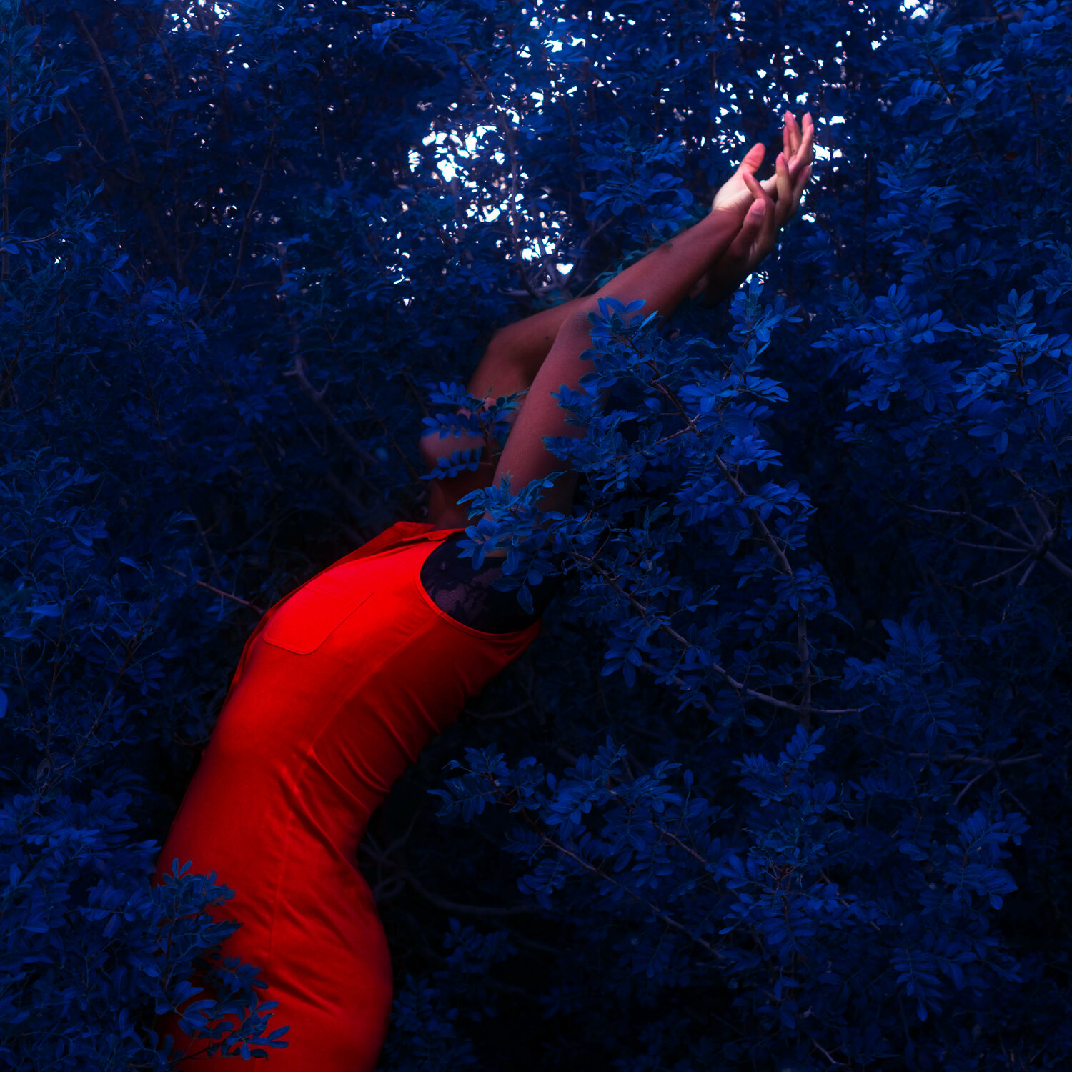 Deep blue sea Fares Micue