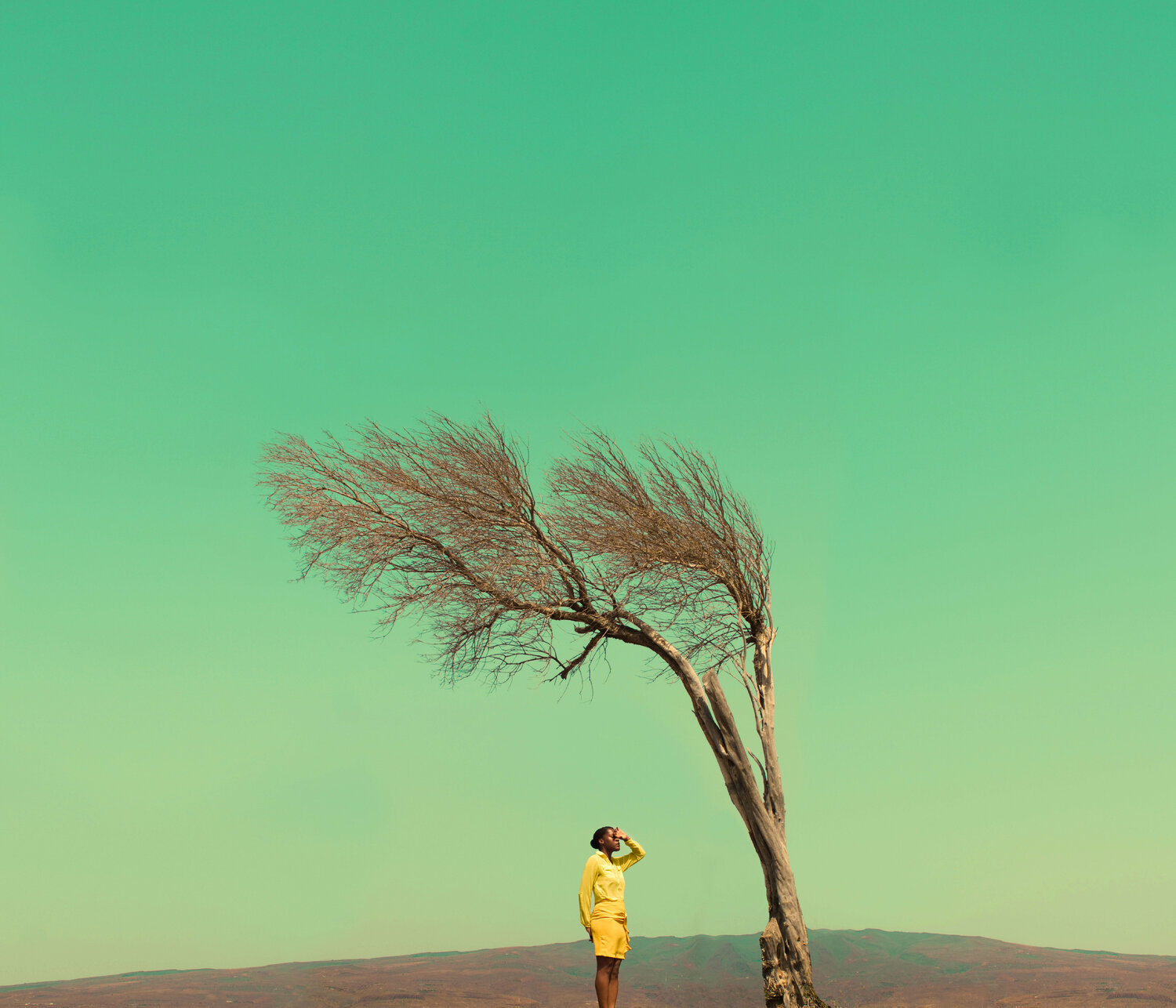 Summer breeze Fares Micue