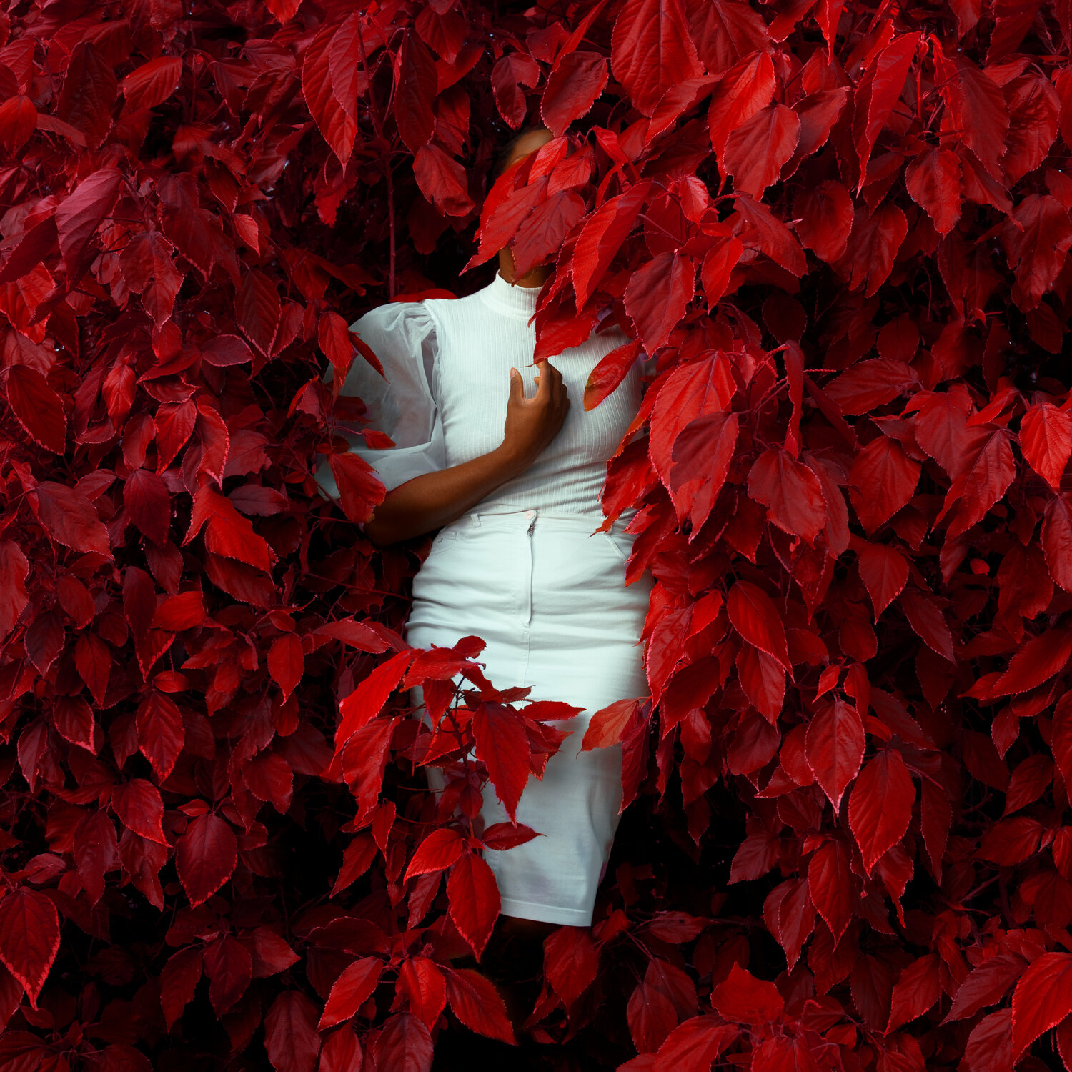 The calm of the pure heart Fares Micue Fotografia in vendita