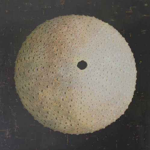 ERIZO Tomasa Martín