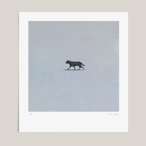 DOG I von Tomasa Martín, Digital kaufen auf Singulart