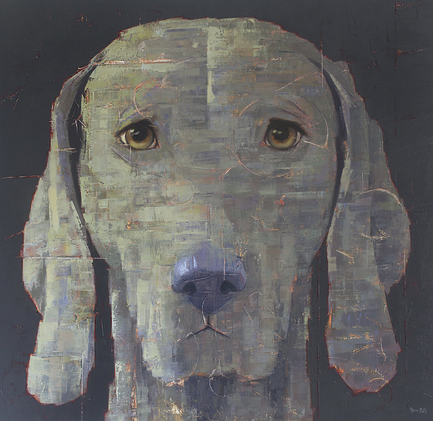 A DOG II Tomasa Martín
