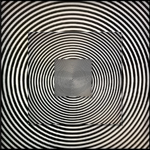 Concentric von Shelton Walsmith, Fotografie kaufen auf Singulart