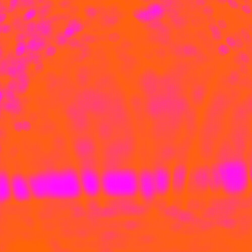 Can't See the Forest for the Trees von Shelton Walsmith, Fotografie kaufen auf Singulart