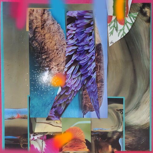 Keep Your Fronds Close and Your Anemones Closer von Shelton Walsmith, Andere Medien kaufen auf Singulart