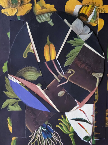 Nemorosa's Healm by Shelton Walsmith, Work on Paper for Sale on Singulart