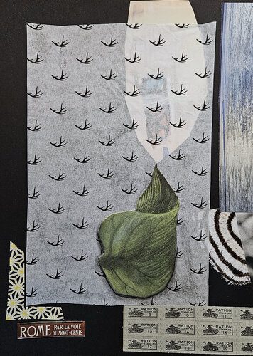 A New LeAf van Shelton Walsmith, Werk op papier te koop op Singulart