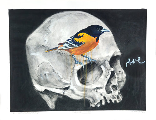 Second Skull First Lady von Shelton Walsmith, Zeichnungen kaufen auf Singulart
