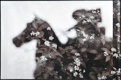 Memories of Mounting von Shelton Walsmith, Fotografie kaufen auf Singulart