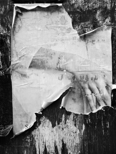 Amendment van Shelton Walsmith, Fotografie te koop op Singulart