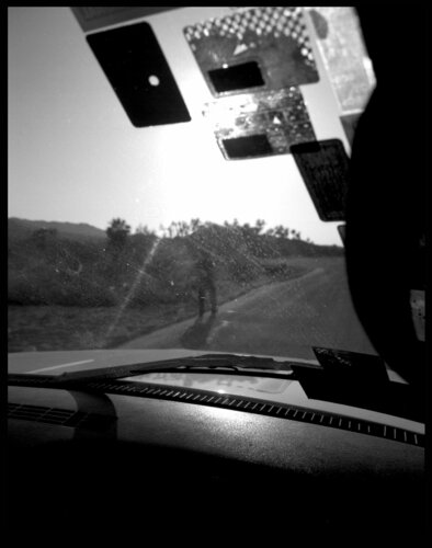 Dash by Shelton Walsmith, Photography for Sale on Singulart