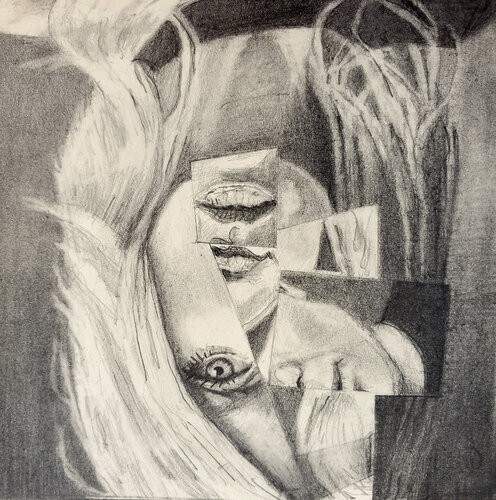 She's Coming Apart Shelton Walsmith