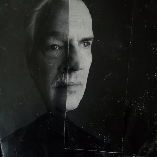 Split Shelton Walsmith