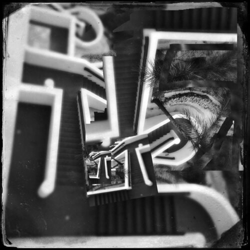 Santa Catalina by Shelton Walsmith, Work on Paper for Sale on Singulart