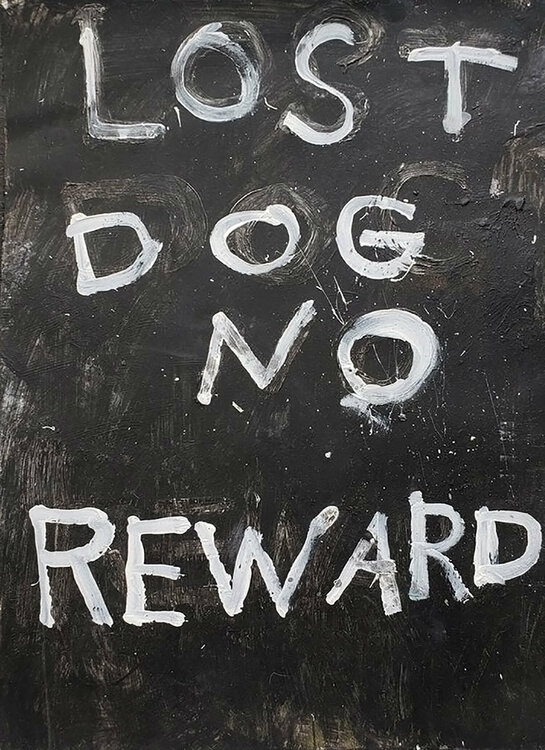 Lost Dog No Reward Shelton Walsmith