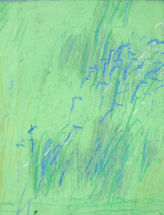 The Way it's Gonna Be (way up in the sky) Shelton Walsmith