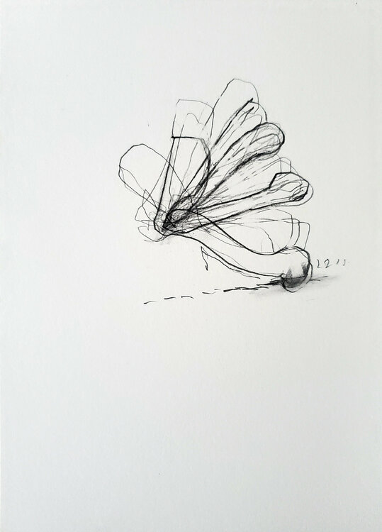 Uncensused Shelton Walsmith