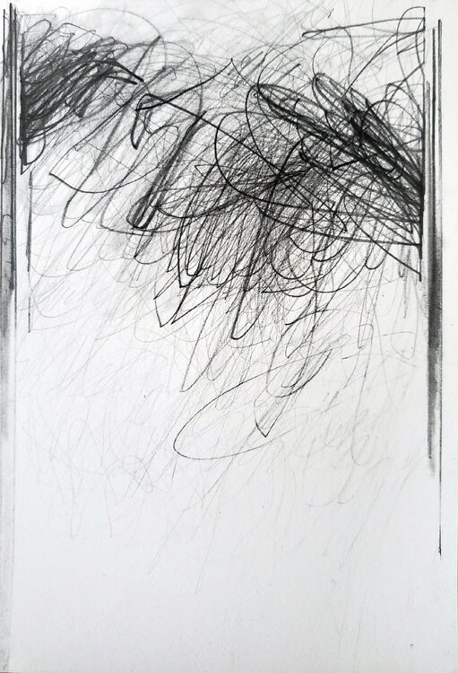 Backnforth Shelton Walsmith