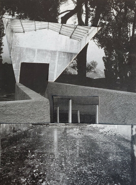 Leg up to the Tot Lot Shelton Walsmith