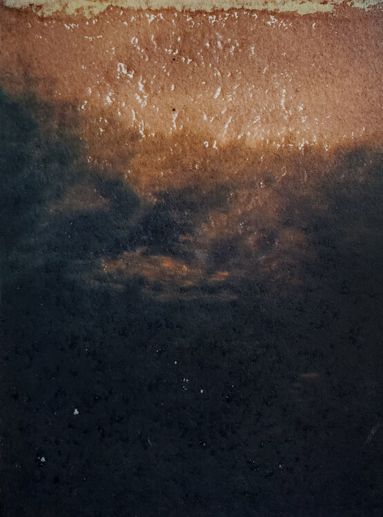 Upstate Transfer Shelton Walsmith