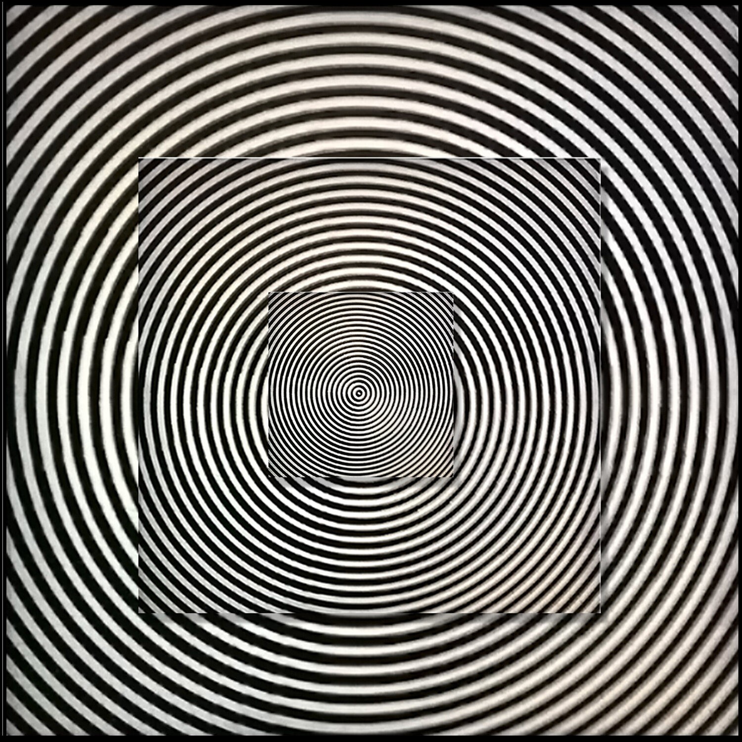 Concentric Shelton Walsmith