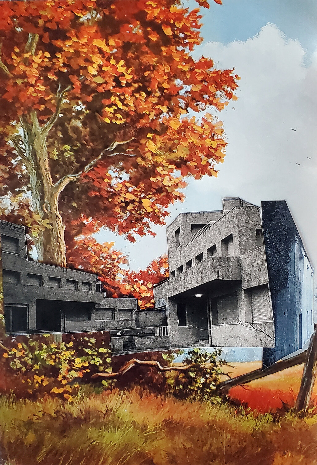 Autumnal Brutalist Shelton Walsmith