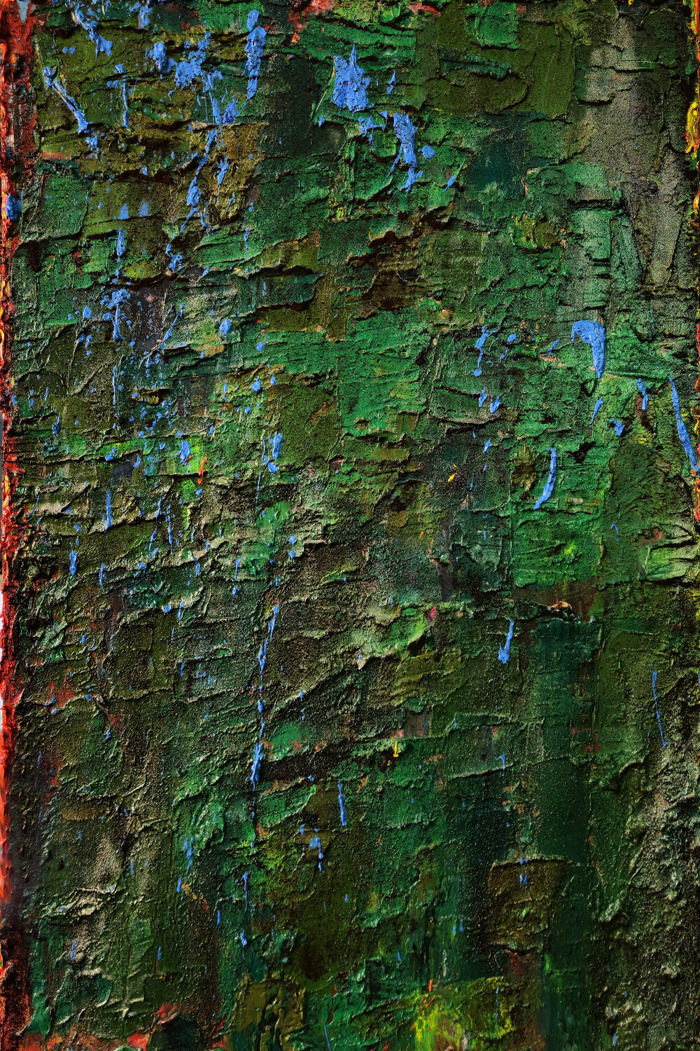Immortal Landscape Shelton Walsmith