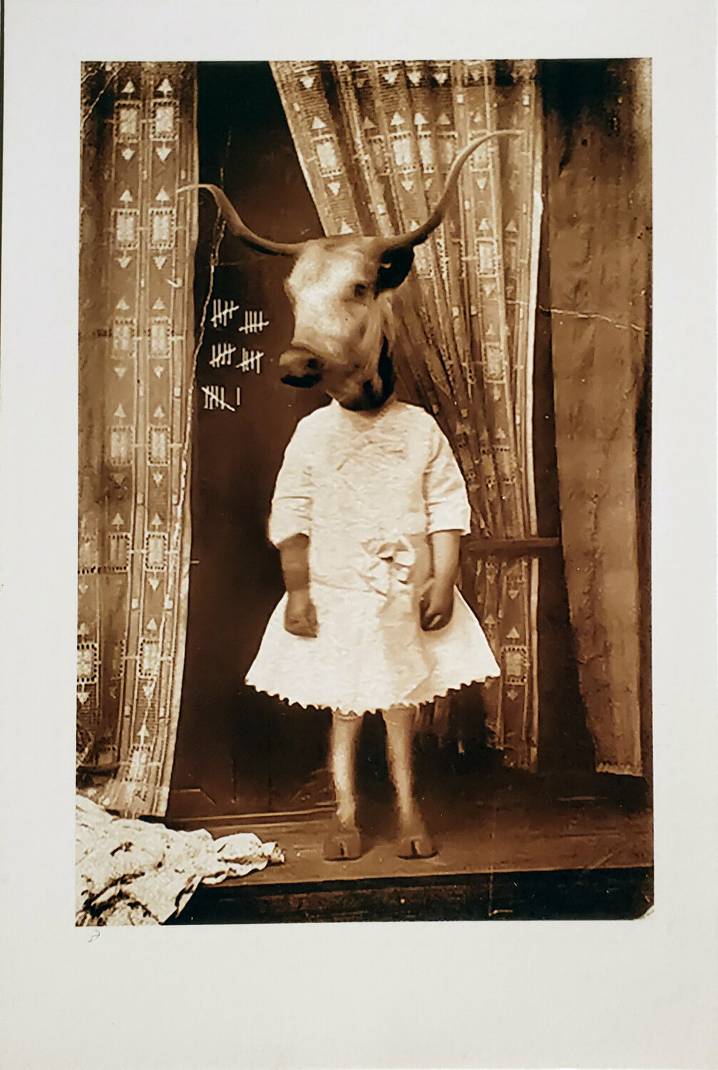 Grandma Back in Texas Shelton Walsmith
