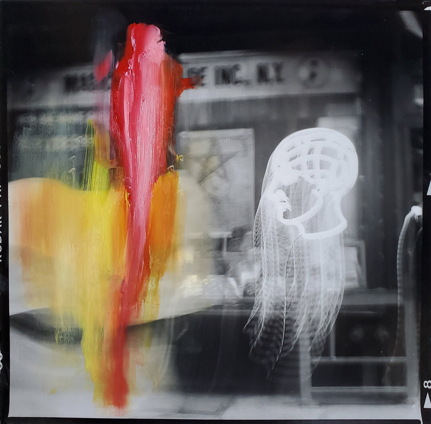 Spirit Eclipsed Shelton Walsmith