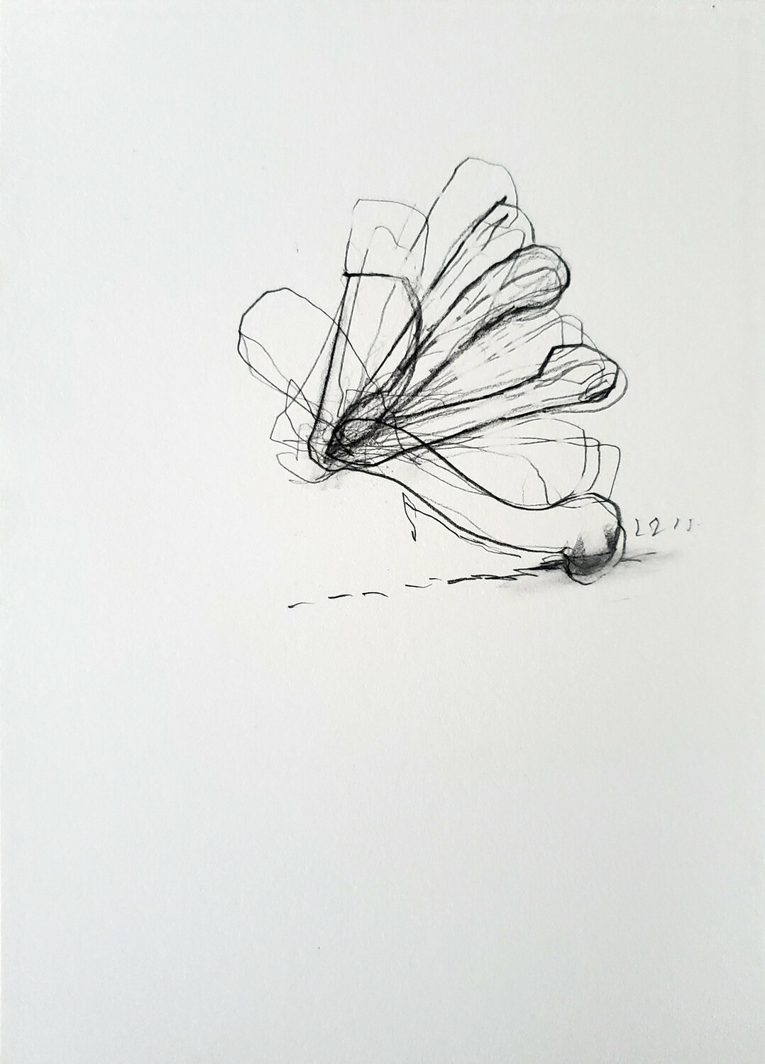 Uncensused Shelton Walsmith