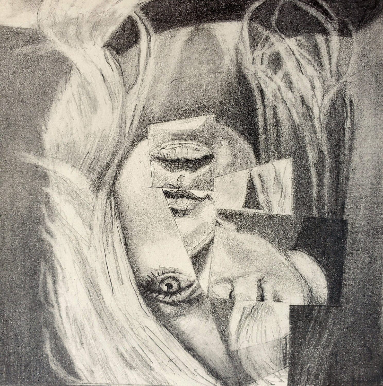 She's Coming Apart Shelton Walsmith