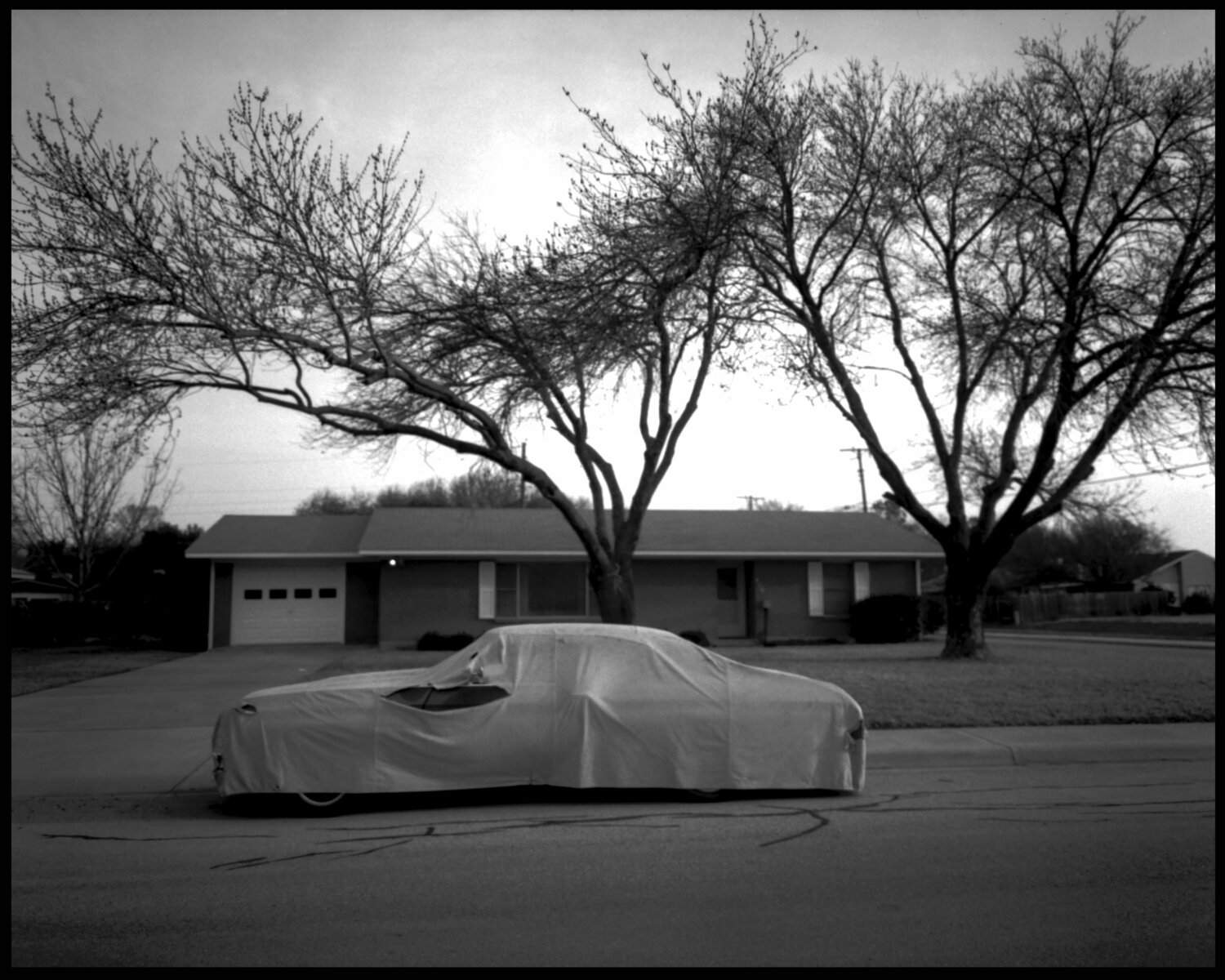 Draped Shelton Walsmith