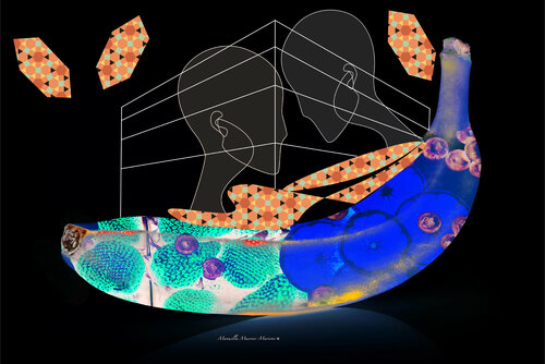 Banana Talk van Manuella Muerner Marioni, Fotografie te koop op Singulart