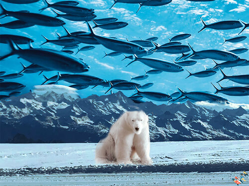 Himmelfische Manuella Muerner Marioni