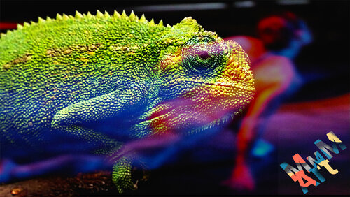 Echsenschritt Manuella Muerner Marioni