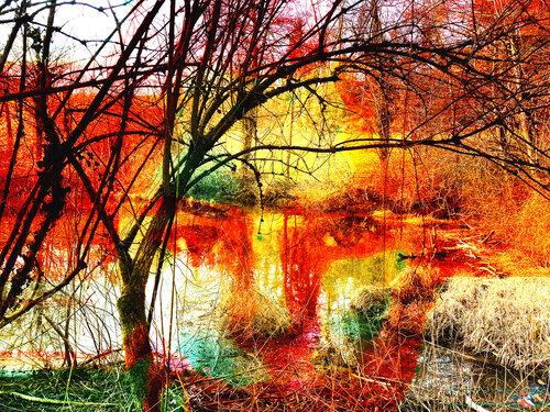 Nature watching you von Manuella Muerner Marioni, Fotografie kaufen auf Singulart