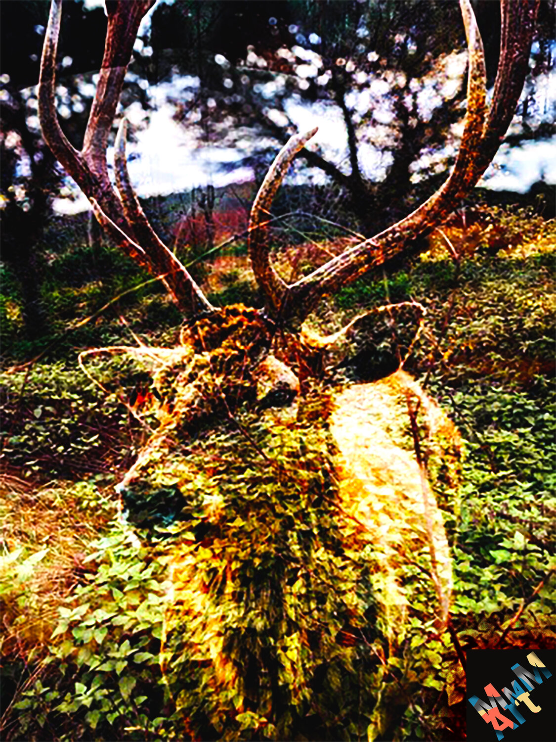 Hirsch Manuella Muerner Marioni