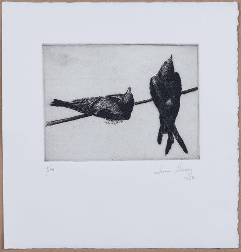 Golondrinas (grabado) by Juan Manuel Alvarez Cebrián, Work on Paper for Sale on Singulart