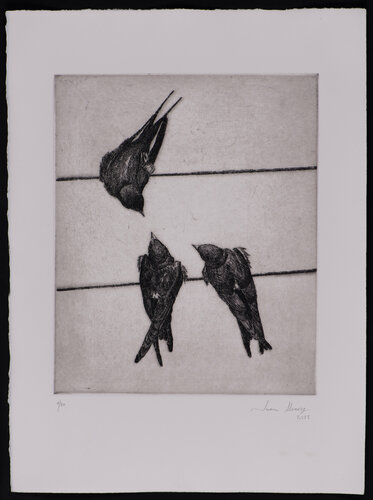 Golondrinas IV (grabado) van Juan Manuel Alvarez Cebrián, Werk op papier te koop op Singulart