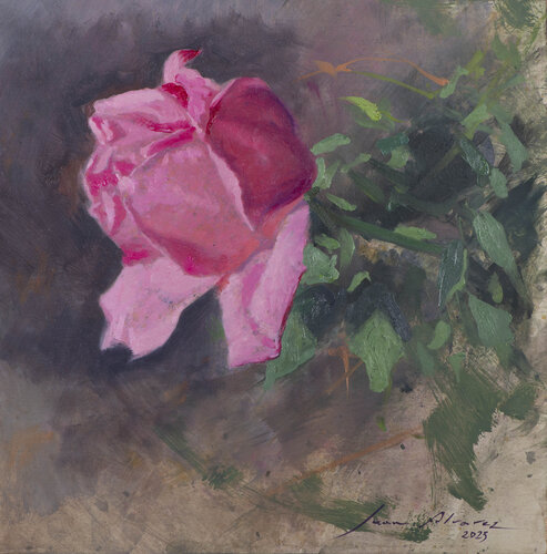 Rosa von Juan Manuel Alvarez Cebrián, Malerei kaufen auf Singulart