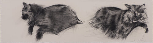 Estudios de gatos by Juan Manuel Alvarez Cebrián, Drawing for Sale on Singulart