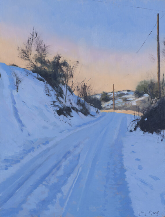 Camino nevado Juan Manuel Alvarez Cebrián