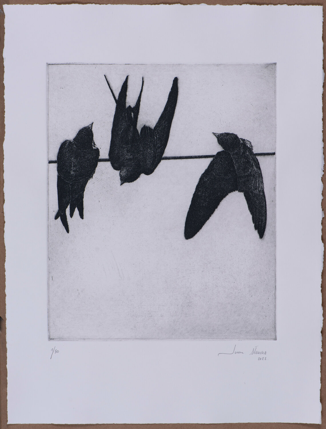 Golondrinas I (grabado) Juan Manuel Alvarez Cebrián Werk auf Papier zu verkaufen