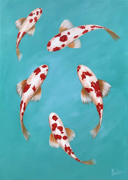 Samurai Koi Natalia Nosek (NATXA)