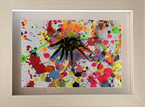 Insects 007 par Juan José Garay, Peinture en vente sur Singulart