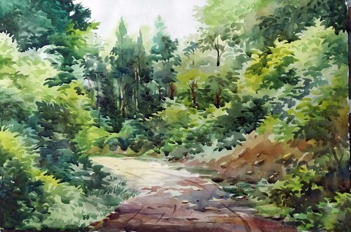 Forest At Spring Samiran Sarkar