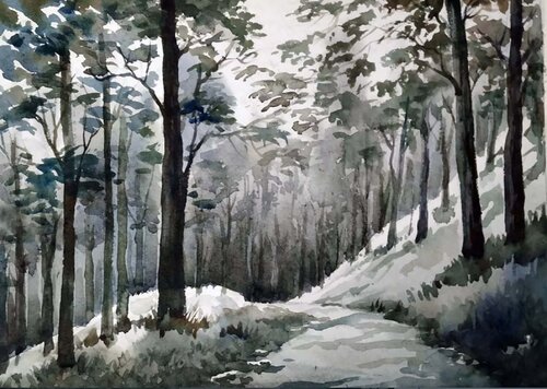 Mountain Forest by Samiran Sarkar, Work on Paper for Sale on Singulart