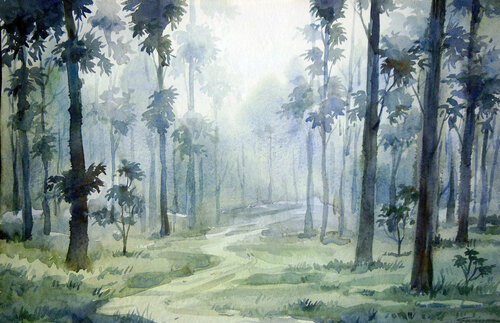 Foggy Forest Samiran Sarkar