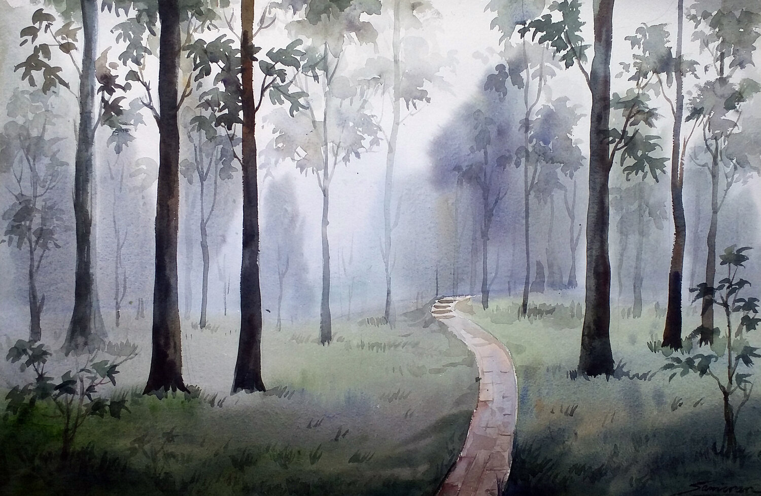 Misty Foggy Himalayan Mountain Forest Samiran Sarkar